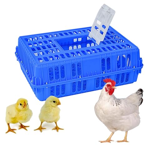 Geflügeltransportkiste, Hühnertransportkiste aus Kunststoff, Hühnertransportbox, Kistentransportbox, Griffdesign, Vier Eckversteifungen, Bis zu 10 Stockwerke Hoch Stapelbar(Blue) von XGQXZWC