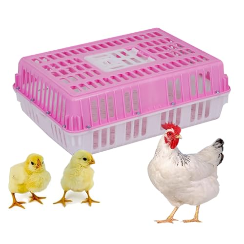 Geflügeltransportkiste, Hühnertransportkiste aus Kunststoff, Hühnertransportbox, Kistentransportbox, Griffdesign, Vier Eckversteifungen, Bis zu 10 Stockwerke Hoch Stapelbar(Pink) von XGQXZWC