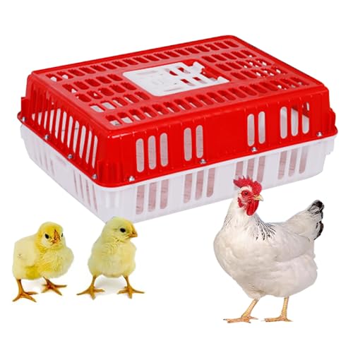 Geflügeltransportkiste, Hühnertransportkiste aus Kunststoff, Hühnertransportbox, Kistentransportbox, Griffdesign, Vier Eckversteifungen, Bis zu 10 Stockwerke Hoch Stapelbar(Red) von XGQXZWC