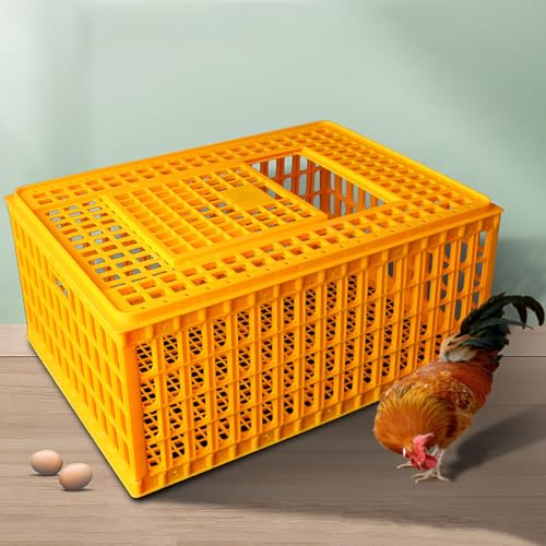 Geflügeltransportkiste, Hühnertransportkiste aus Kunststoff, Robuste Hühnertransportkisten, Gute Atmungsaktivität, Versteifungsdesign for Stärkere Tragfähigkeit Geflügeltransportkiste, Hühnertransportkiste aus Kunststoff, Robuste Hühnertransportkisten, Gute Atmungsaktivität, Versteifungsdesign for Stärkere Tragfähigkeit von XGQXZWC