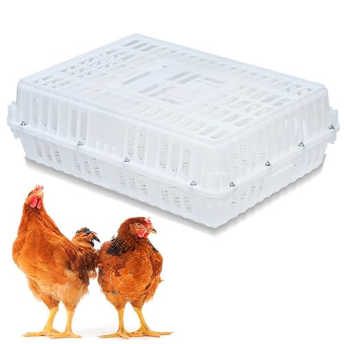 Robuste Geflügeltransportkiste Hühnertransportkäfig aus Kunststoff Geflügeltransportkorb aus Kunststoff Jaulas para Gallinas Neues Material Vier Eckversteifungen for Enten, 8–12 Erwachsene Hühner(Whit von XGQXZWC