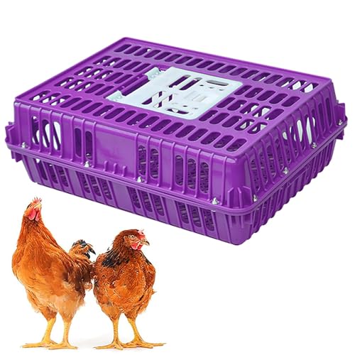 Robuste Geflügeltransportkiste Hühnertransportkäfig aus Kunststoff Geflügeltransportkorb aus Kunststoff Jaulas para Gallinas Neues Material Vier Eckversteifungen for Enten, 8–12 Erwachsene Hühner(Purp von XGQXZWC