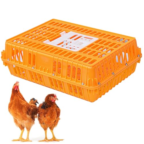 Robuste Geflügeltransportkiste Hühnertransportkäfig aus Kunststoff Geflügeltransportkorb aus Kunststoff Jaulas para Gallinas Neues Material Vier Eckversteifungen for Enten, 8–12 Erwachsene Hühner(Oran von XGQXZWC