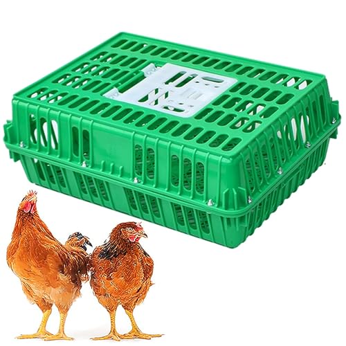 Robuste Geflügeltransportkiste Hühnertransportkäfig aus Kunststoff Geflügeltransportkorb aus Kunststoff Jaulas para Gallinas Neues Material Vier Eckversteifungen for Enten, 8–12 Erwachsene Hühner(Gree von XGQXZWC