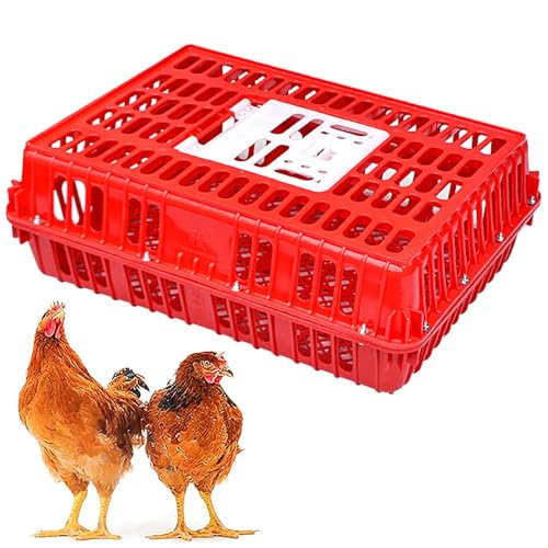 Robuste Geflügeltransportkiste Hühnertransportkäfig aus Kunststoff Geflügeltransportkorb aus Kunststoff Jaulas para Gallinas Neues Material Vier Eckversteifungen for Enten, 8–12 Erwachsene Hühner(Red) von XGQXZWC