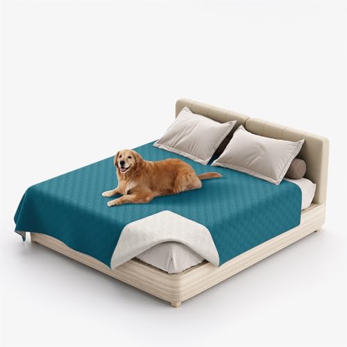 XHDZSW Wasserresistent Hundedecke - wasserdichte Hundedecke für Couch & Bett, Waschbare Haustier-Couch-Abdeckung, rutschfeste Bett Sofa Autositz Möbelschutzmatte (30x50in,Blau) von XHDZSW