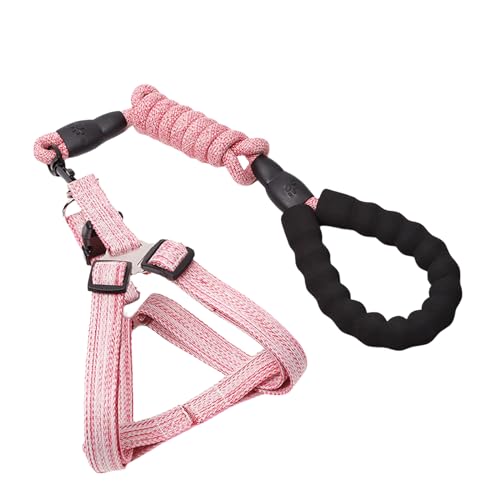Hundeleine für Training, Spazierengehen, Gürtel für große und kleine Hunde, D-Schnalle, mehrfarbig, Trainingsseil für Hunde Hundeleine für Training, Spazierengehen, Gürtel für große und kleine Hunde, D-Schnalle, mehrfarbig, Trainingsseil für Hunde von XIAHIOPT
