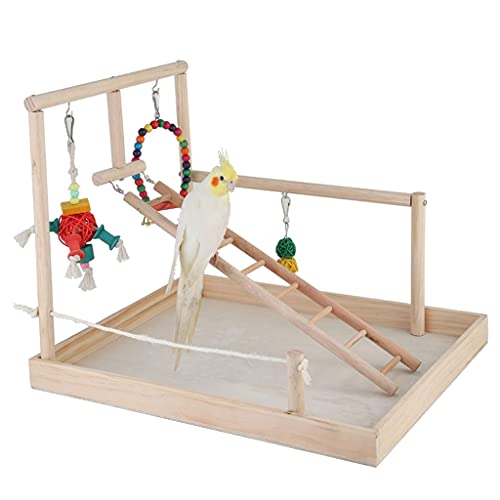 Vogelträger Papageienregal Massivholz Training Vogelregal Starling Xuanfeng Klein Sonne Vogelkäfig Vogelregal mit Spielzeugleiter Unterhaltung Ort Wirtschaft Vogelkäfig Papagei Sittich Aras Kleiner Vogelträger Papageienregal Massivholz Training Vogelregal Starling Xuanfeng Klein Sonne Vogelkäfig Vogelregal mit Spielzeugleiter Unterhaltung Ort Wirtschaft Vogelkäfig Papagei Sittich Aras Kleiner von XIANGGUI 1983