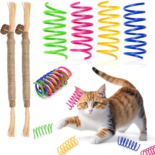 XIANGLONGY 40 Stück Katzenspielzeug Spirale + 2 Stück Katzenminze Stick, Buntes Interaktives Spielzeug für Katzen, Kunststoff Katzenspielzeug Spiralfeder, Spiralen Katzen für Haustiere zum Spielen XIANGLONGY 40 Stück Katzenspielzeug Spirale + 2 Stück Katzenminze Stick, Buntes Interaktives Spielzeug für Katzen, Kunststoff Katzenspielzeug Spiralfeder, Spiralen Katzen für Haustiere zum Spielen von XIANGLONGY