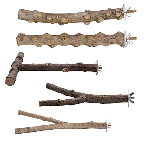 XIANJUN 5 Stück Vogelstange Holzständer Natürlicher Baumstab Stehend 3 Formen Kletterstange Pfote Schleifen Spielzeug Käfig Zubehör von XIANJUN