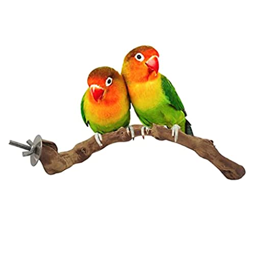 XIANJUN Vogel-Holzstange, Naturholzständer, Weinreben, 25 cm, stehender Zweig, Pfotenschleifen, für Vögel, Käfigzubehör von XIANJUN