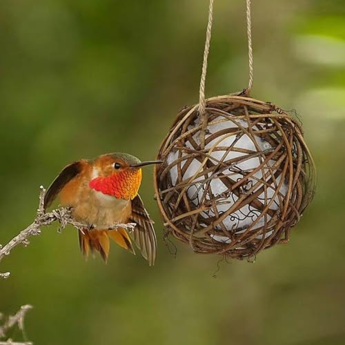 Globus-Kolibri-Nester, hängende Vogelnester für Wildvögel, handgefertigtes Vogelhaus, Kolibri-Nistkugeln für Vogelbeobachtung, Naturliebhaber von XIAOBAN