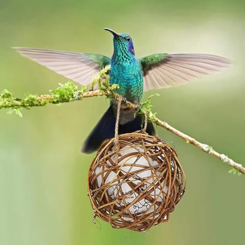 Globus-Kolibri-Nester, hängende Vogelnester für Wildvögel, handgefertigtes Vogelhaus, Kolibri-Nistkugeln für Vogelbeobachtung, Naturliebhaber von XIAOBAN
