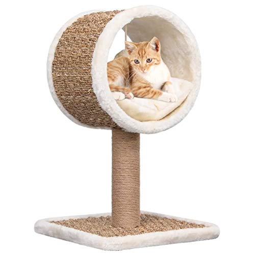 Katzen-Kratzbaum, XIAOGUANG Katzenzubehöhr, Kratzbaum Für Katzen, Katze Baum, Katzenkratzbaum, Katzenturm, Katzenmöbel, mit Tunnel und Spielzeug 56 cm Seegras von XIAOGUANG