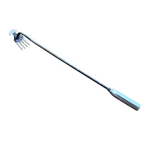 XIAOPINPI Gartenarbeit Hand Unkrautstecher, Unkraut Entferner Gerät, Unkrautjäter, Rasenkantenstecher, Fugenkratzer Mit Stiel, Fugenreiniger Unkraut, Edelstahl Unkrautstecher Gartengeräte (C-50CM) von XIAOPINPI