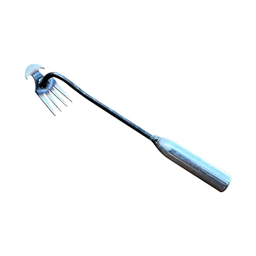XIAOPINPI Gartenarbeit Hand Unkrautstecher, Unkraut Entferner Gerät, Unkrautjäter, Rasenkantenstecher, Fugenkratzer Mit Stiel, Fugenreiniger Unkraut, Edelstahl Unkrautstecher Gartengeräte (E-30CM) von XIAOPINPI