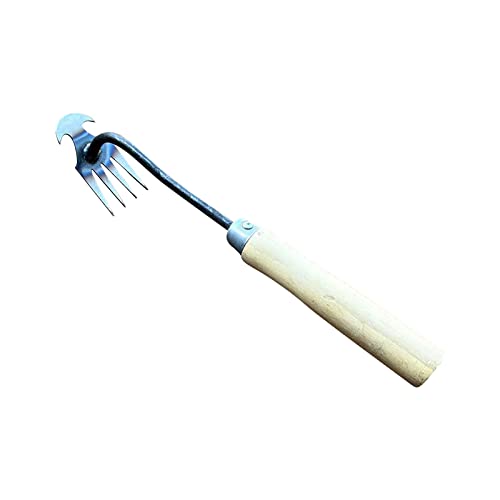 XIAOPINPI Gartenarbeit Hand Unkrautstecher, Unkraut Entferner Gerät, Unkrautjäter, Rasenkantenstecher, Fugenkratzer Mit Stiel, Fugenreiniger Unkraut, Edelstahl Unkrautstecher Gartengeräte (F-30CM) von XIAOPINPI