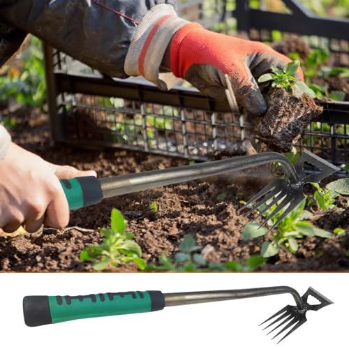 XIAOPINPI Unkrautjäter - Unkraut Entferner Gerät, Gartenarbeit Hand Unkrautstecher, Weed Buster Reinigungsschaufel, Fugenreiniger Unkraut, Unkraut Abzieher Werkzeug Unkrautstecher Edelstahl (B-36CM) von XIAOPINPI