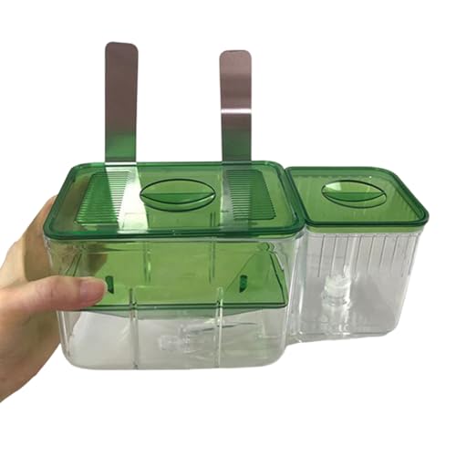 Aquarium Breeder Box Für Fischtankzüchtung Inkubator Kleine Fischproby Fisch Laich Box Trennungspanzer Aquarium Breeder Box Für Fischtankzüchtung Inkubator Kleine Fischproby Fisch Laich Box Trennungspanzer von XIAOQENAN