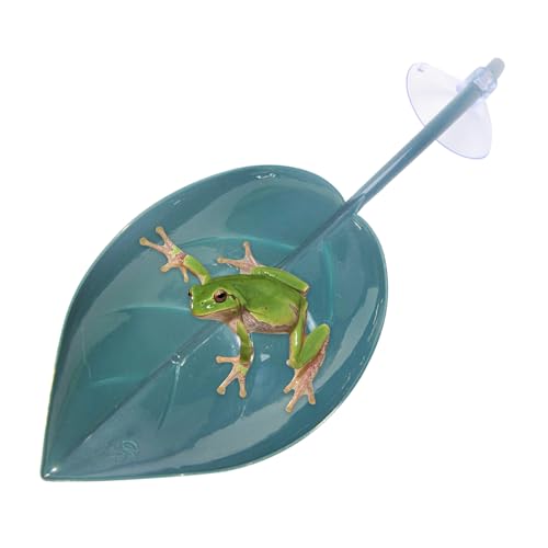 XIAOXIAOYU Frosch Sonnenplattform - Kletterterrasse - Blattförmige Saugnäpfe Amphibien Deko Zubehör Für Terrarium Kröten Gecko Zwergfrösche Schildkröten von XIAOXIAOYU