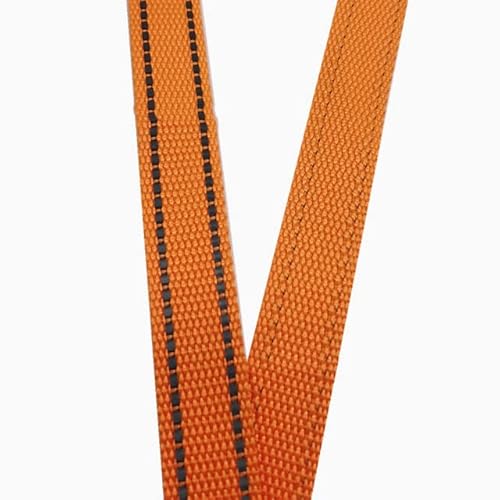 5 Meter 25 mm Polyester-Gurtband mit reflektierendem Streifen, Rucksackgurt, DIY-Handwerk, Haustierhalsband, Leine, Zubehör von XIAOXIN