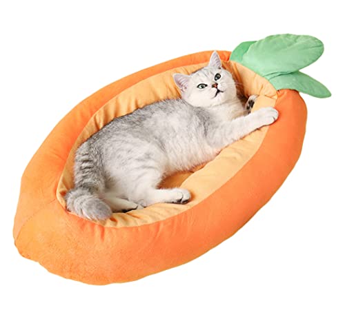 XIAOYU Kätzchenbett Karottenform Bett für Hunde & Katzen mit abnehmbarer waschbarer Matte, Indoor Katzenhaus für Haustiere(M) von XIAOYU