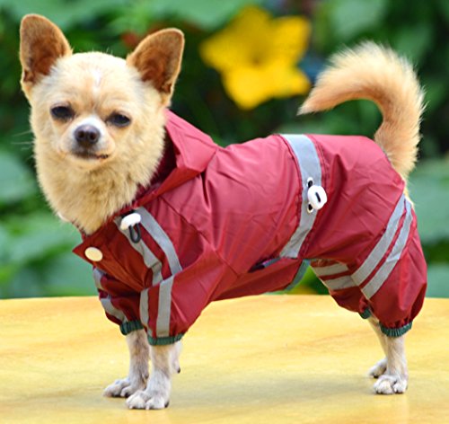 XIAOYU pet Dog Welpe wasserdicht Regenmantel Jacke mit Kappe für kleine mittelgroße Hunde, rot, XXL XIAOYU pet Dog Welpe wasserdicht Regenmantel Jacke mit Kappe für kleine mittelgroße Hunde, rot, XXL von XIAOYU