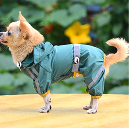 XIAOYU pet Dog Welpe wasserdicht Regenmantel Jacke mit Kappe für kleine mittelgroße Hunde, grün, L von XIAOYU