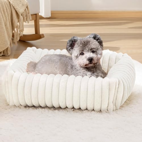 XIAPIA Katzenbett Flauschig Washbar 63x53x18 cm, Plüsch Katzen Schlafplatz Weich und Warm für Katzen Kleine Hunde, Orthopädisches Kuschelbett mit Rutigfester Boden Weiß XIAPIA Katzenbett Flauschig Washbar 63x53x18 cm, Plüsch Katzen Schlafplatz Weich und Warm für Katzen Kleine Hunde, Orthopädisches Kuschelbett mit Rutigfester Boden Weiß von XIAPIA