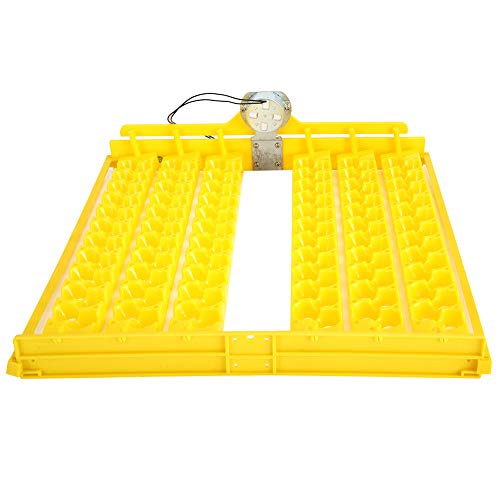 XIASABA 1 Stück Egg Inkubator Tablett Automatische Eierwender Inkubator Werkzeug für Inkubator Automatische Inkubator-Labor XIASABA 1 Stück Egg Inkubator Tablett Automatische Eierwender Inkubator Werkzeug für Inkubator Automatische Inkubator-Labor von XIASABA