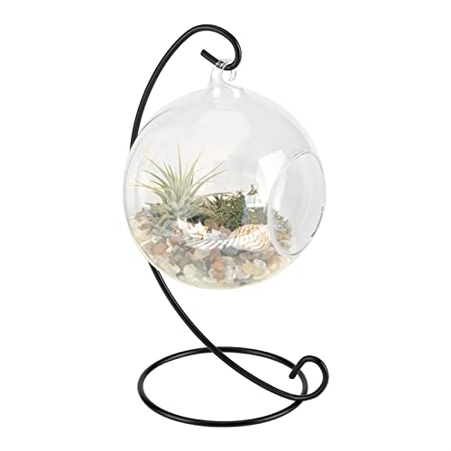 XIASABA Luftpflanzen Terrarium Set Hängende Glasvase mit Metallständer (28cm) für Tillandsien & Sukkulenten Moderne Hexenkugel als Raumdeko Pflanzglocke für Büro/Wohnung von XIASABA