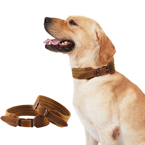 XIAWEN Hundehalsband aus Leder – verstellbares, strapazierfähiges, klassisches Hundehalsband – Hundehalsband aus Leder mit Metallschnalle für mittelgroße Hunde zum Gehen und Training von Cipliko