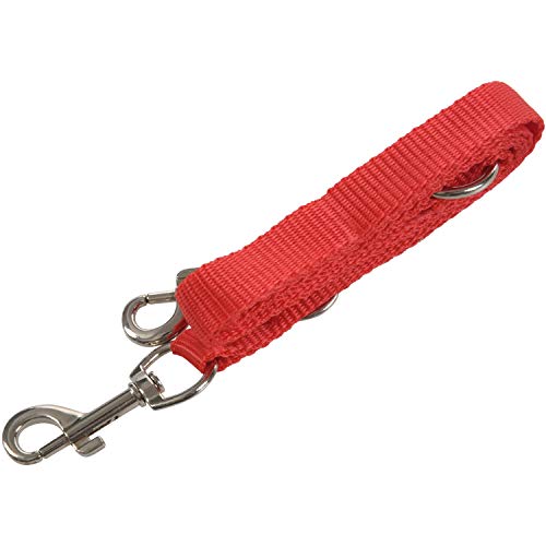 XIDIT Rot Nylon 15mm Breite Spaziergang Doppel Hund Karabinerverschluss Weg Pet Leine XIDIT Rot Nylon 15mm Breite Spaziergang Doppel Hund Karabinerverschluss Weg Pet Leine von XIDIT