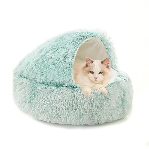 Donut-Katzenbett für den Innenbereich, Plüsch-Höhlenbett für Kätzchen, mit Kapuze, kleines Katzennest, flauschig, beruhigend, selbstwärmend, Haustierhöhle mit rutschfester Unterseite, 65 x 65 x 20 cm Donut-Katzenbett für den Innenbereich, Plüsch-Höhlenbett für Kätzchen, mit Kapuze, kleines Katzennest, flauschig, beruhigend, selbstwärmend, Haustierhöhle mit rutschfester Unterseite, 65 x 65 x 20 cm von XIEMINLE