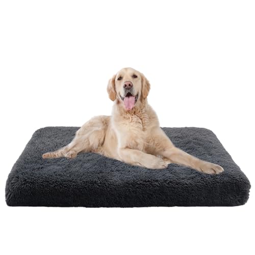 Hundebett Mittelgroße Hunde, Waschbares Hundekäfigbett Anti-Angst Hundebetten, Flauschiges Katzenbett Anti-Angst Hundekissen, Orthopädisches Hundesofafür Zwinger-Auflage Große Hunde(100x60x10cm) von XIEMINLE