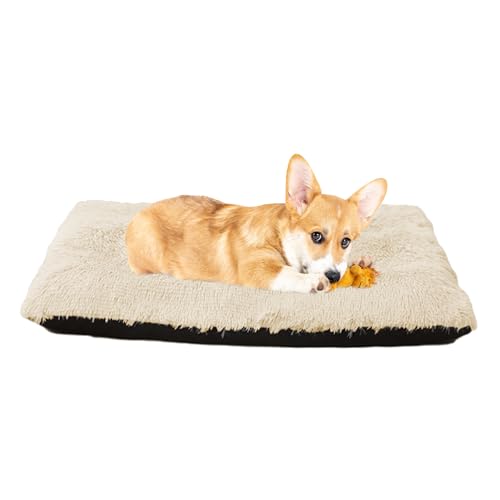 Hundebett Orthopädisches Haustier Hundebetten für Große Mittelgroße Hunde, Welpen Kissen Hundesofa, Abnehmbar und Waschbar Hundekorb, Anti-Rutsch Hundematte Katzenbett Zwinger-Auflage(120x90x10cm) Hundebett Orthopädisches Haustier Hundebetten für Große Mittelgroße Hunde, Welpen Kissen Hundesofa, Abnehmbar und Waschbar Hundekorb, Anti-Rutsch Hundematte Katzenbett Zwinger-Auflage(120x90x10cm) von XIEMINLE