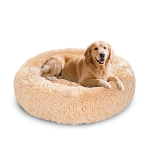 XIEMINLE Beruhigendes Donut-Hundebett, flauschig, Anti-Angst, waschbar, für Hunde und Katzen, Plüschkissen, runde Katzenmatte, warme Welpenmatratze mit rutschfester Unterseite, 120 cm, Beige XIEMINLE Beruhigendes Donut-Hundebett, flauschig, Anti-Angst, waschbar, für Hunde und Katzen, Plüschkissen, runde Katzenmatte, warme Welpenmatratze mit rutschfester Unterseite, 120 cm, Beige von XIEMINLE