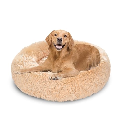 XIEMINLE Beruhigendes Donut-Hundebett für den Innenbereich, Plüsch, Anti-Angst, Welpenbett, rundes Haustierkissen, waschbar, warme Matte mit rutschfester Unterseite, für mittelgroße und große Hunde XIEMINLE Beruhigendes Donut-Hundebett für den Innenbereich, Plüsch, Anti-Angst, Welpenbett, rundes Haustierkissen, waschbar, warme Matte mit rutschfester Unterseite, für mittelgroße und große Hunde von XIEMINLE