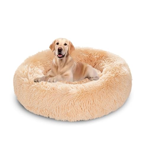 XIEMINLE Beruhigendes Donut-Hundebett und Katzenbett für den Innenbereich, warmes, gemütliches Haustierkissen, weiche Haustiermatte, waschbarer Welpenkorb mit rutschfester Unterseite, für kleine XIEMINLE Beruhigendes Donut-Hundebett und Katzenbett für den Innenbereich, warmes, gemütliches Haustierkissen, weiche Haustiermatte, waschbarer Welpenkorb mit rutschfester Unterseite, für kleine von XIEMINLE