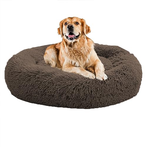 XIEMINLE Beruhigendes Donut-Welpenbett, für Zuhause, Welpen, rund, Plüsch, waschbar, Hundesofa, Bett, Haustierkissen für kleine/mittelgroße Hunde, Katzen, Hundekissenkorb, 60 cm, Kaffee XIEMINLE Beruhigendes Donut-Welpenbett, für Zuhause, Welpen, rund, Plüsch, waschbar, Hundesofa, Bett, Haustierkissen für kleine/mittelgroße Hunde, Katzen, Hundekissenkorb, 60 cm, Kaffee von XIEMINLE