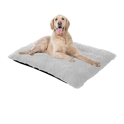 XIEMINLE Beruhigendes Hundebett, großes Hundebett, waschbar, Plüsch-Katzenbetten Kissenmatratze, Hundematte für mittelgroße und große Hunde, Hundebett mit rutschfester Unterseite, 70 x 50 x 8 cm, Grau von XIEMINLE