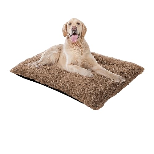 XIEMINLE Beruhigendes Hundebett, großes Hundebett, waschbar, Plüsch-Katzenbetten Kissenmatratze, Hundematte für mittelgroße und große Hunde, Hundekäfigbett mit rutschfester Unterseite, 140 x 110 x 12 XIEMINLE Beruhigendes Hundebett, großes Hundebett, waschbar, Plüsch-Katzenbetten Kissenmatratze, Hundematte für mittelgroße und große Hunde, Hundekäfigbett mit rutschfester Unterseite, 140 x 110 x 12 von XIEMINLE