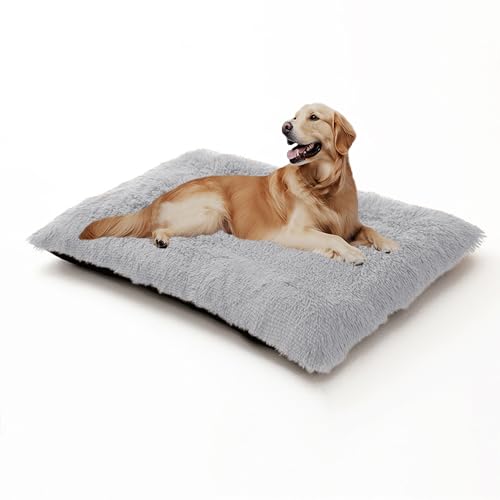 XIEMINLE Beruhigendes Hundebett, warme Hundematte für Kiste, flauschige Anti-Angst-Matratze, waschbar, Haustierkäfigkissen, Plüsch-Katzenkissen, weiches Welpenbett mit rutschfester Unterseite (100 x XIEMINLE Beruhigendes Hundebett, warme Hundematte für Kiste, flauschige Anti-Angst-Matratze, waschbar, Haustierkäfigkissen, Plüsch-Katzenkissen, weiches Welpenbett mit rutschfester Unterseite (100 x von XIEMINLE