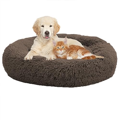 XIEMINLE Cozy Pet Hundebett Beruhigendes Haustierbett, Anti-Angstzustände Hundesofa Bett mit rutschfester Unterseite, warmes Plüsch-Hundekissen, Korb, Kätzchenbett, Katze, Haustierkissen, großes XIEMINLE Cozy Pet Hundebett Beruhigendes Haustierbett, Anti-Angstzustände Hundesofa Bett mit rutschfester Unterseite, warmes Plüsch-Hundekissen, Korb, Kätzchenbett, Katze, Haustierkissen, großes von XIEMINLE
