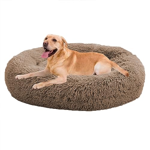 XIEMINLE Donut Calming Pet Bed Calming Donut Puppy Bed, Dog Sofa Bed for Small/Medium/Large Dogs, Round Plush Dog Bed with Non-Slip Bottom, Donut Pillow Bed Cuddler Dog Bed von XIEMINLE