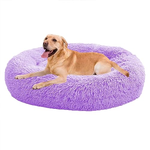 XIEMINLE Donut Calming Pet Bed Calming Donut Puppy Bed, Dog Sofa Bed for Small/Medium/Large Dogs, Round Plush Dog Bed with Non-Slip Bottom, Donut Pillow Bed Cuddler Dog Bed von XIEMINLE