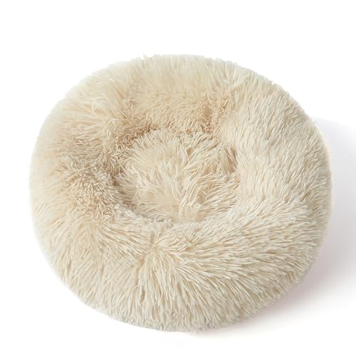 XIEMINLE Donut-Katzenbetten für den Innenbereich, rund, Plüsch-Matte, beruhigendes Haustierbett für Katze und Hund, maschinenwaschbar, flauschiges und weiches Welpennest mit rutschfester Unterseite XIEMINLE Donut-Katzenbetten für den Innenbereich, rund, Plüsch-Matte, beruhigendes Haustierbett für Katze und Hund, maschinenwaschbar, flauschiges und weiches Welpennest mit rutschfester Unterseite von XIEMINLE