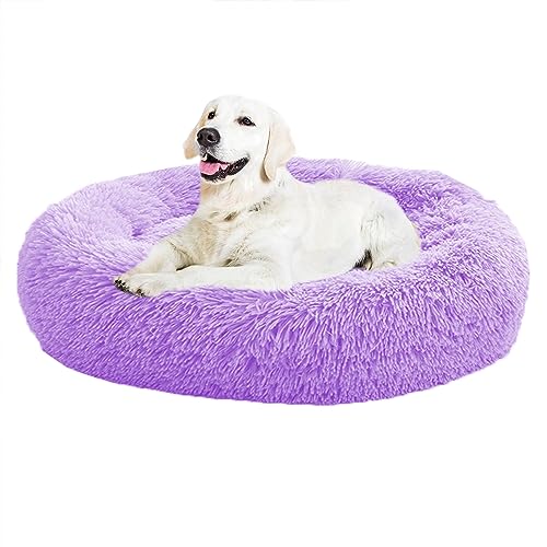 XIEMINLE Donut beruhigendes Haustierbett, kuscheliges Hundebett, beruhigendes Donut-Welpenbett für große, mittelgroße und kleine Hunde, große Hundebetten, weiches Welpensofa, waschbarer XIEMINLE Donut beruhigendes Haustierbett, kuscheliges Hundebett, beruhigendes Donut-Welpenbett für große, mittelgroße und kleine Hunde, große Hundebetten, weiches Welpensofa, waschbarer von XIEMINLE