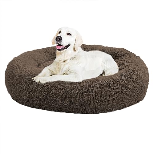 XIEMINLE Donut beruhigendes Haustierbett, kuscheliges Hundebett, beruhigendes Donut-Welpenbett für große, mittelgroße und kleine Hunde, große Hundebetten, weiches Welpensofa, waschbarer XIEMINLE Donut beruhigendes Haustierbett, kuscheliges Hundebett, beruhigendes Donut-Welpenbett für große, mittelgroße und kleine Hunde, große Hundebetten, weiches Welpensofa, waschbarer von XIEMINLE