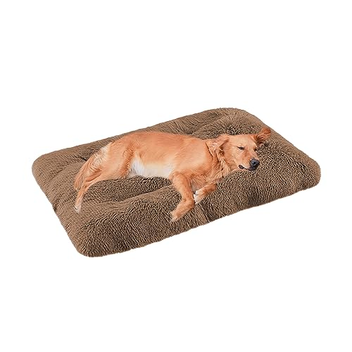 XIEMINLE Flauschige Hundematratze, beruhigendes mittelgroßes Hundebett, waschbar, Anti-Angst, Hundebett, Hundekissen, groß mit rutschfester Unterseite, Plüsch, Haustier-/Katzenbetten, 110 x 75 x 10 XIEMINLE Flauschige Hundematratze, beruhigendes mittelgroßes Hundebett, waschbar, Anti-Angst, Hundebett, Hundekissen, groß mit rutschfester Unterseite, Plüsch, Haustier-/Katzenbetten, 110 x 75 x 10 von XIEMINLE
